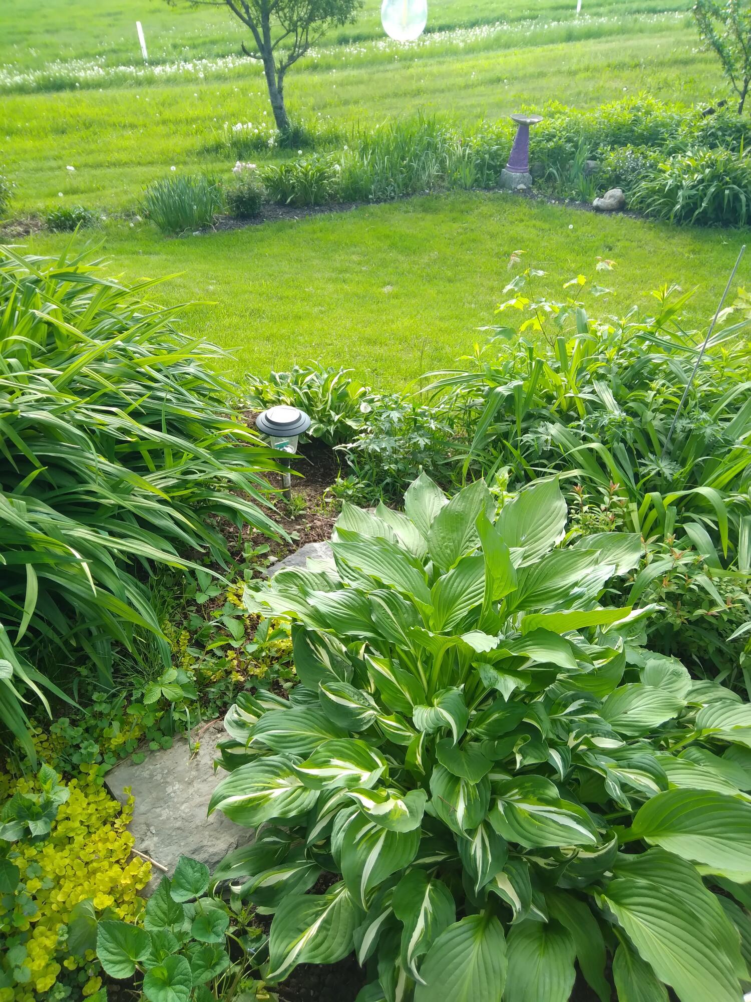 389 Higgins Road Pittsfield, ME 04967 - Photo 80 of 80 20240528_171126