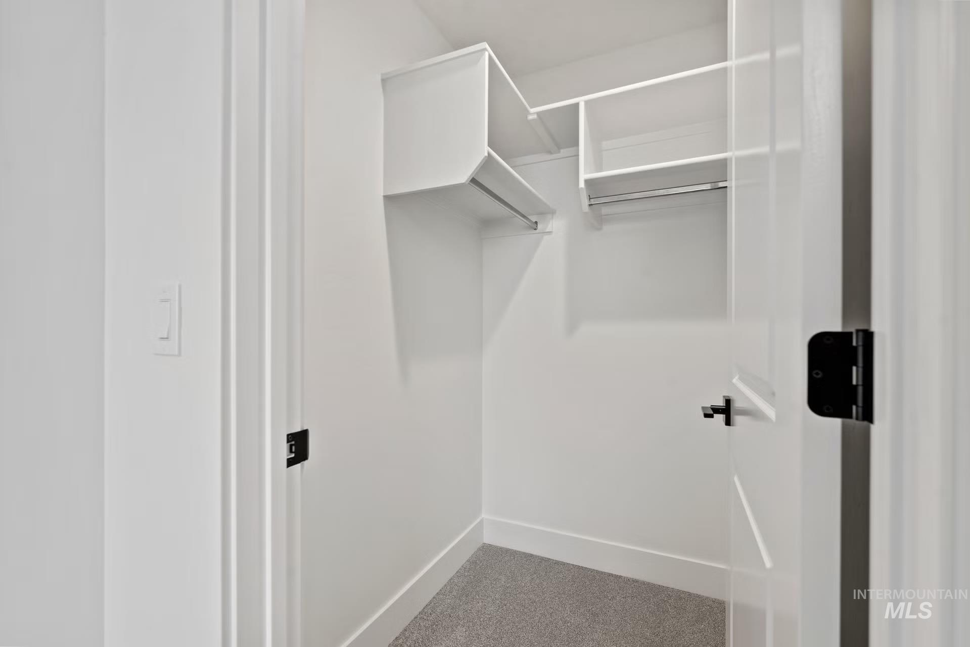 748 South Calhoun Place Star, ID 83669 - Photo 23 of 32 Walk in closet featuring light carpet