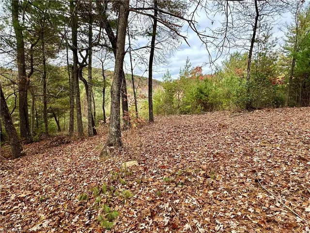 $94,500 | Lot 26 Cascade Run, Purlear, NC 28665