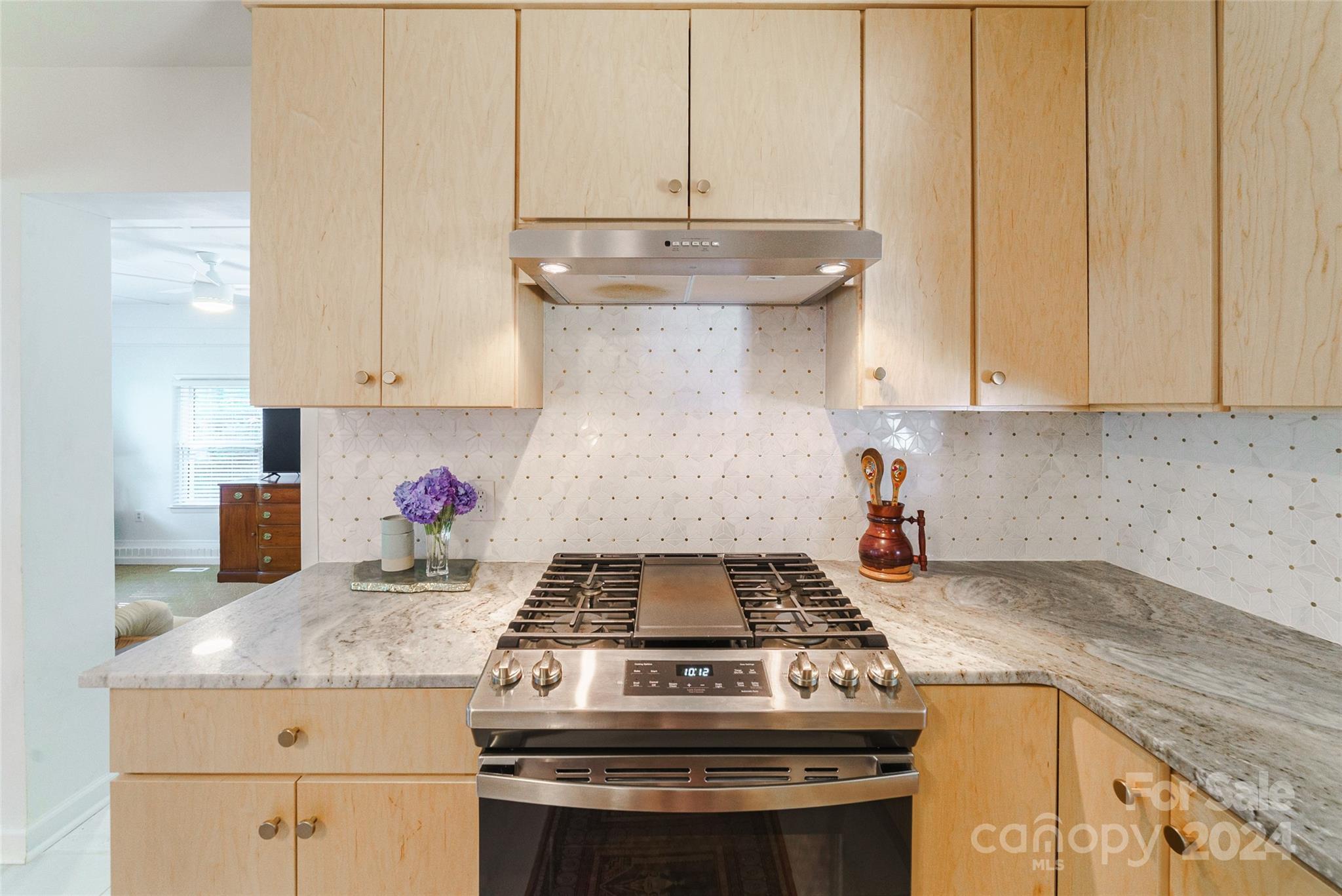 5008 Erickson Road Charlotte, NC 28205 - Photo 8 of 29 Gallery Image 8