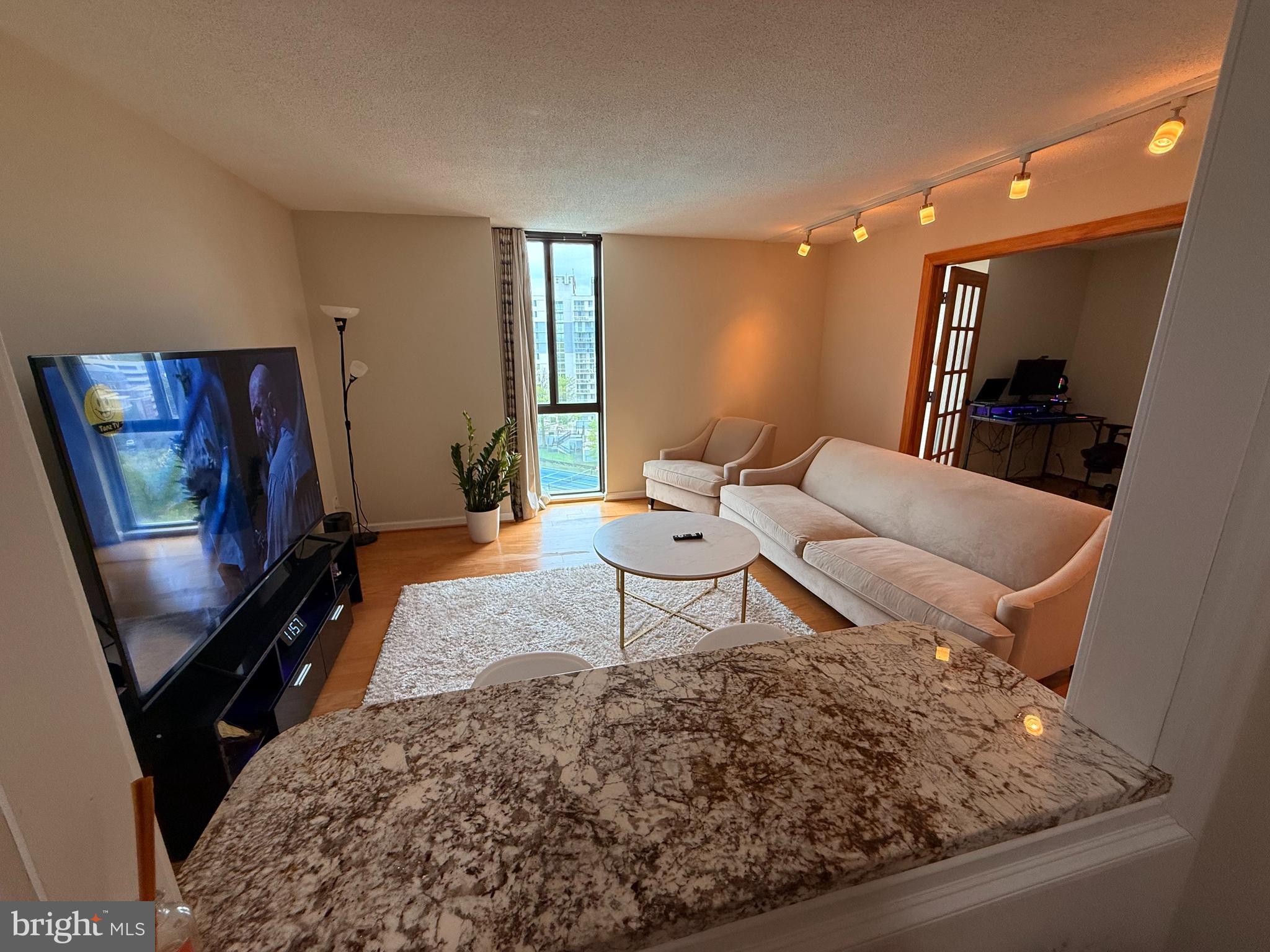 6800 Fleetwood Road, Unit 1008 McLean, VA 22101 - Photo 8 of 33 LivingRoom