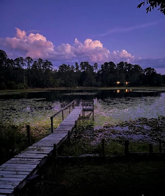 25814 Fishermans Road Paisley, FL 32767 - Photo 8 of 9