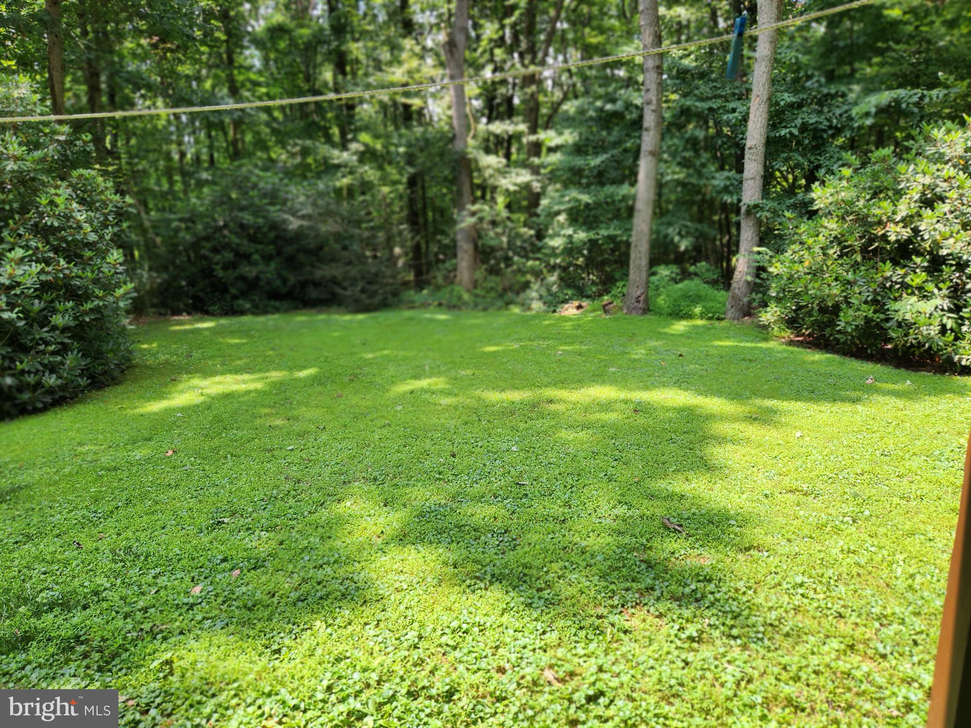 576 Meetinghouse Road Gap, PA 17527 - Photo 9 of 35 Rear Yard