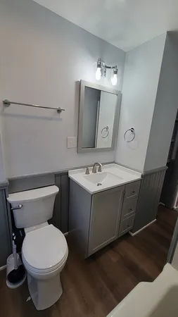 a bathroom with a sink mirror and toilet