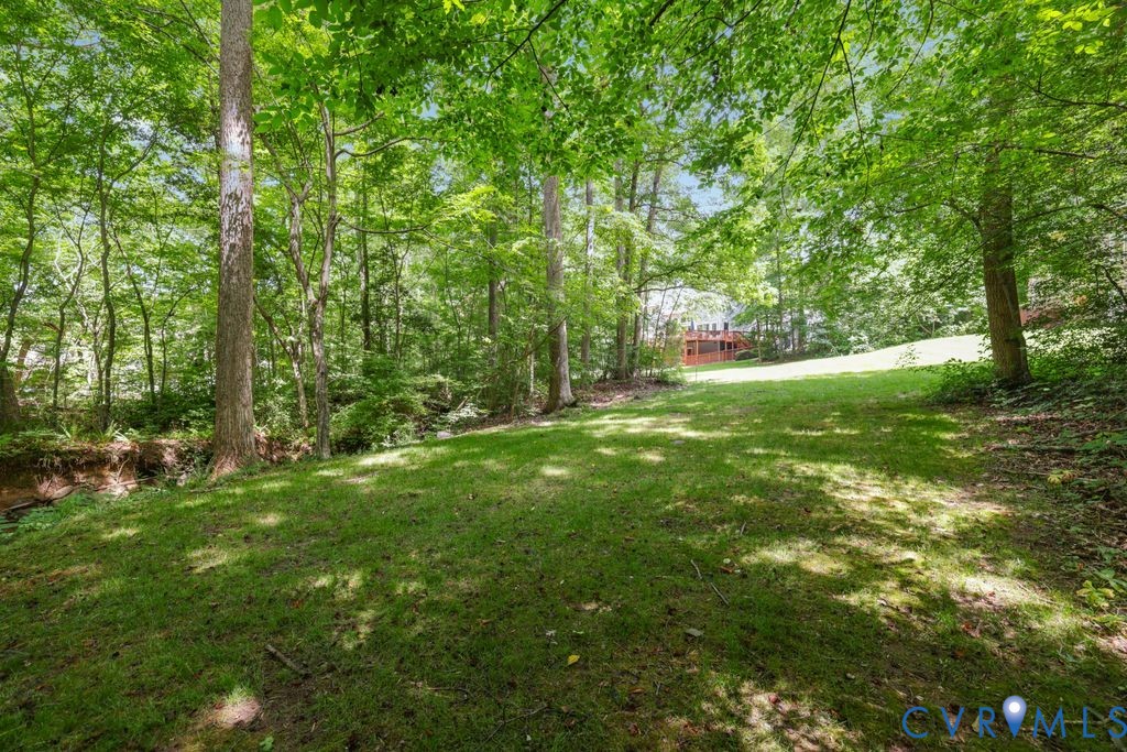 14010 Harbour Pointe Road Midlothian, VA 23112 - Photo 62 of 84