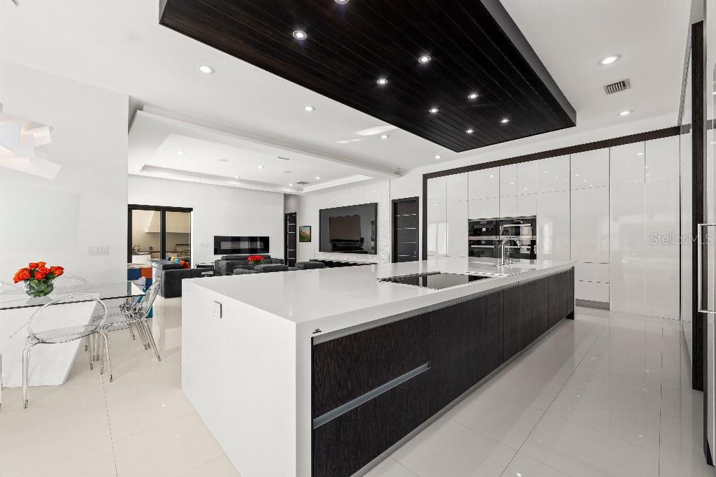 19002 Deer Point Place Odessa, FL 33556 - Photo 20 of 50 a large white kitchen with kitchen island a stove a sink a refrigerator and a dining table with wooden floor