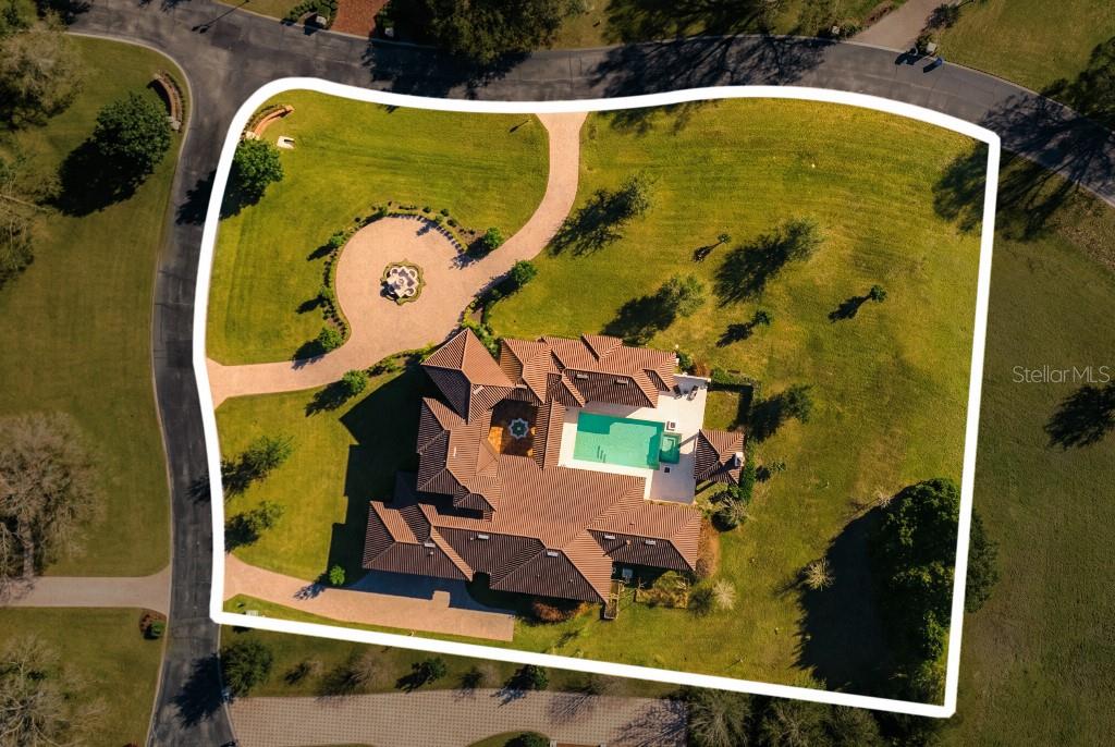 19002 Deer Point Place Odessa, FL 33556 - Photo 5 of 50 an aerial view of a swimming pool