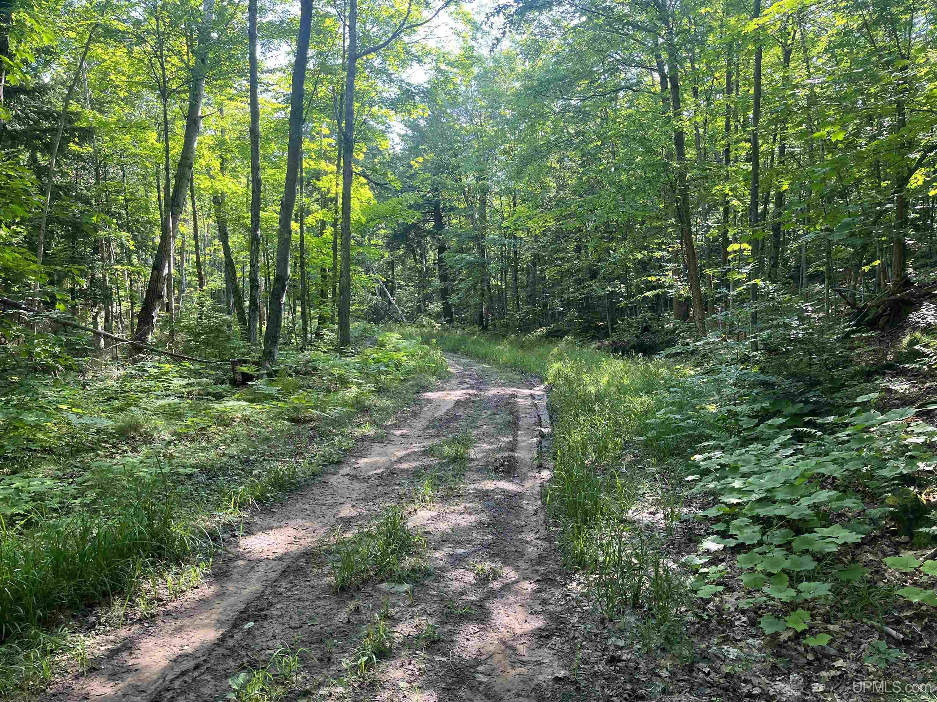 510 Rd Ishpeming Mi 49849 Road Negaunee, MI 49866 - Photo 1 of 33