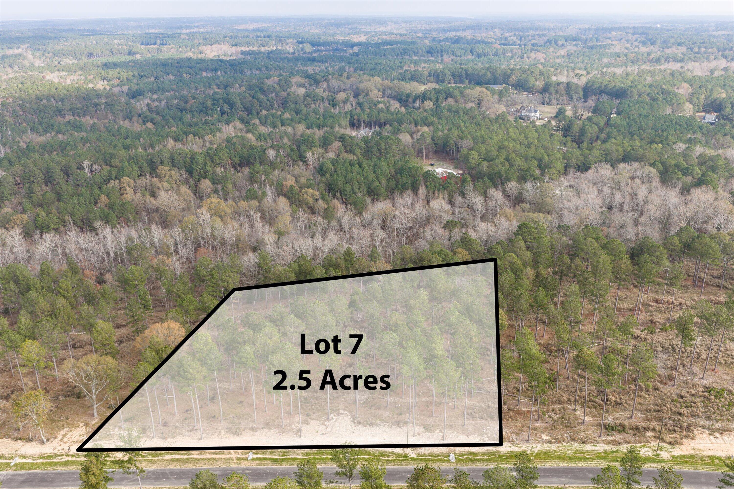159 Beagle Chase Drive Appling, GA 30802 - Photo 1 of 7 06-Lot7_3_1