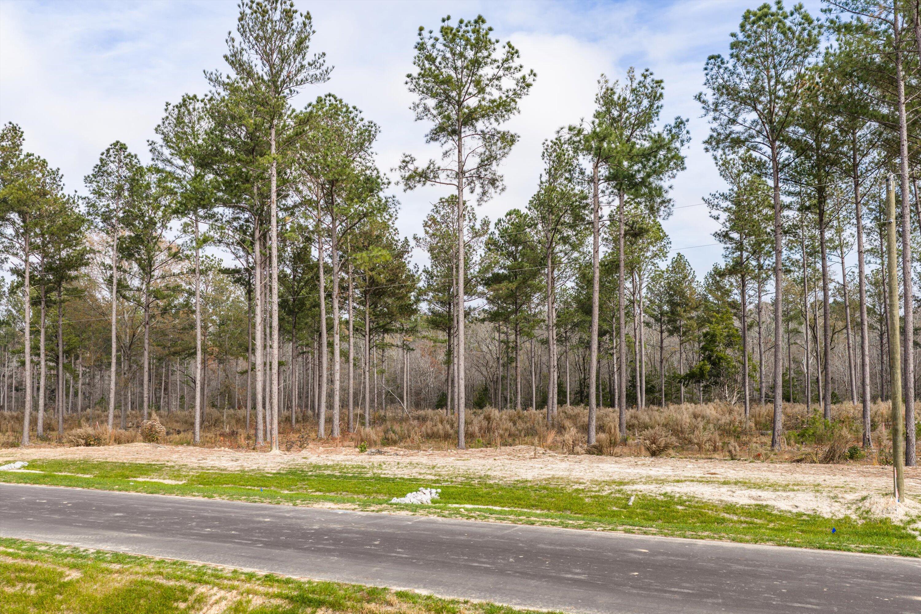 159 Beagle Chase Drive Appling, GA 30802 - Photo 3 of 7 05-Lot7_2