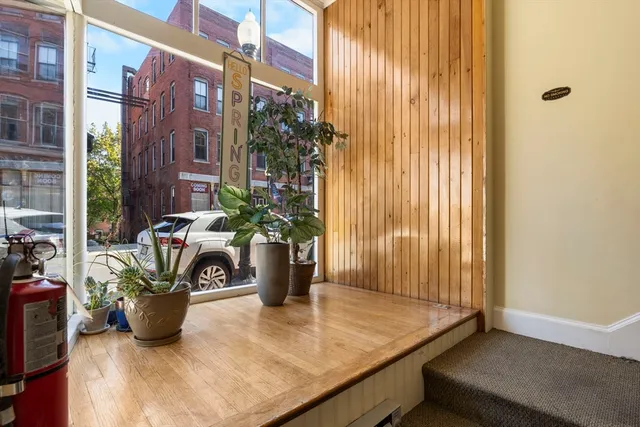 a view of a potted plant on a counter