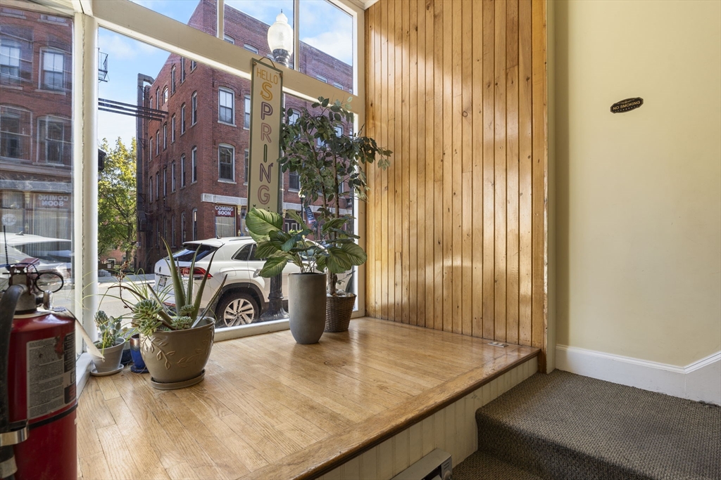 19 Washington Street, Unit 5 Haverhill, MA 01832 - Photo 16 of 17 a view of a potted plant on a counter