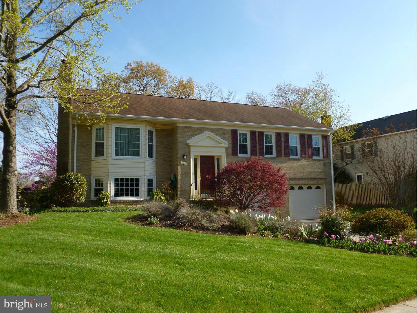 7811 Richfield Road Springfield, VA 22153 - Photo 1 of 15 Exterior (General)