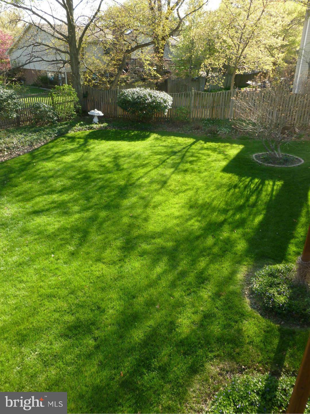 7811 Richfield Road Springfield, VA 22153 - Photo 2 of 15 View