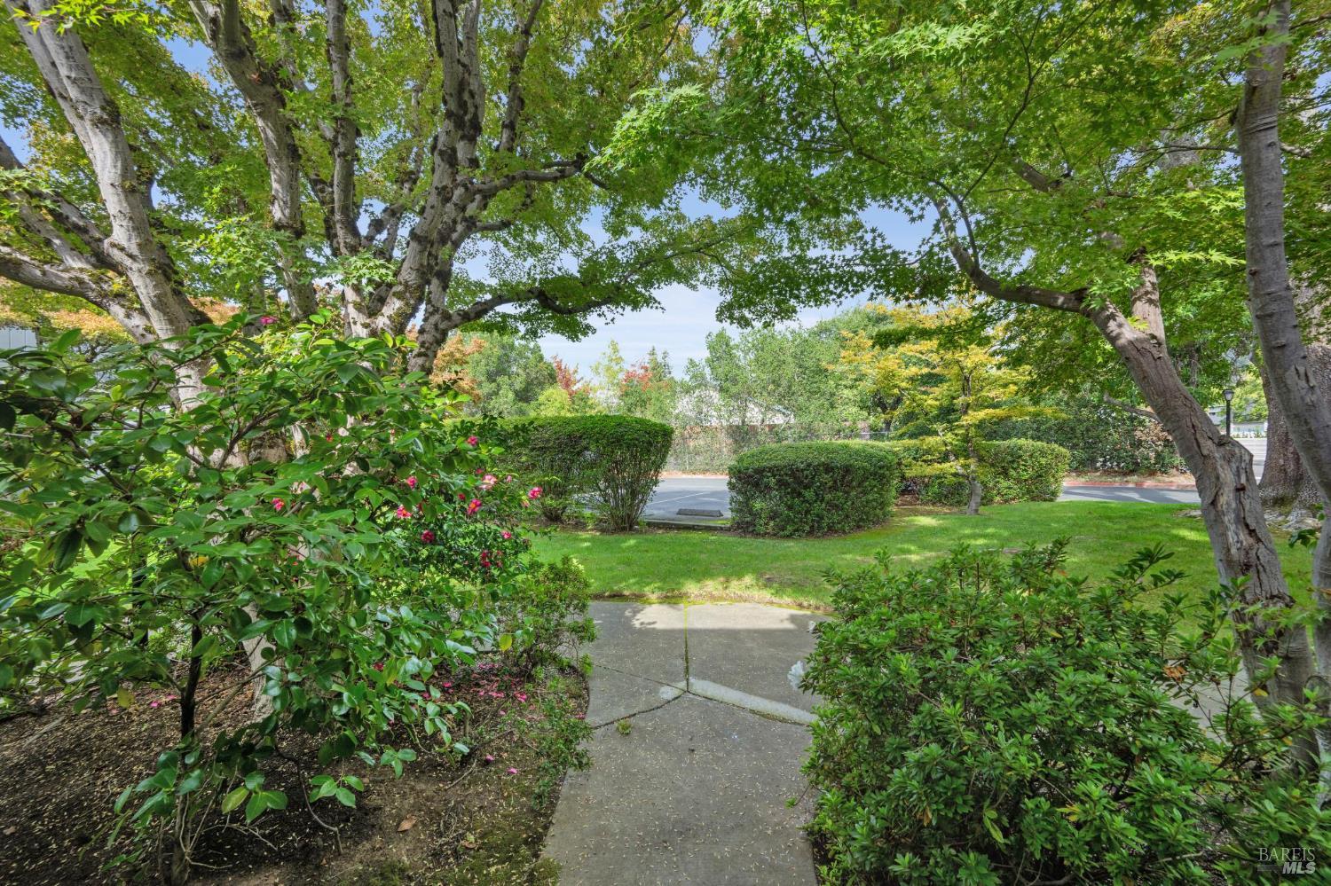 19167 Robinson Road, Unit Y Sonoma, CA 95476 - Photo 27 of 32 a view of a garden with large trees