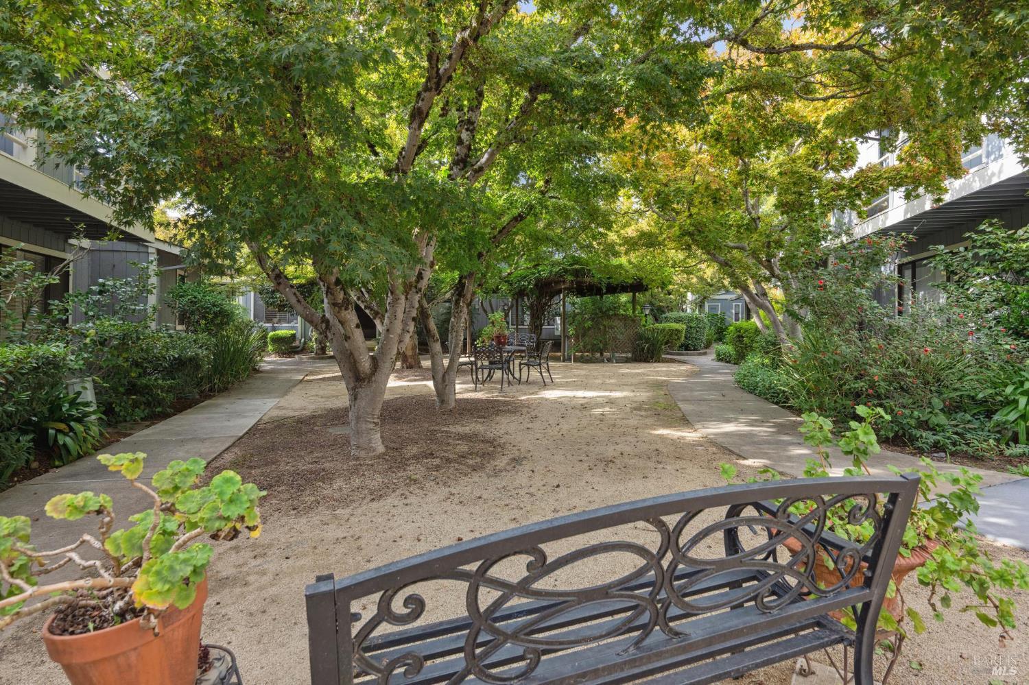 19167 Robinson Road, Unit Y Sonoma, CA 95476 - Photo 29 of 32 a view of a backyard with plants and trees