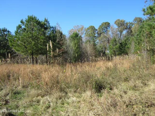 $212,000 | 312 Cr Walnut Ms 38683, Tiplersville, MS 38674