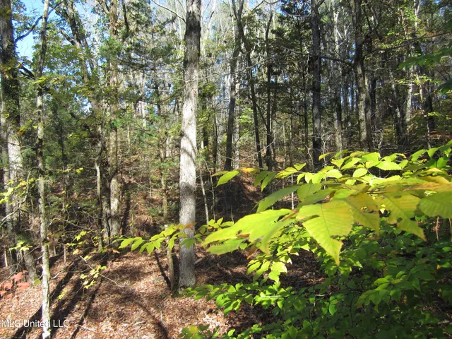 $212,000 | 312 Cr Walnut Ms 38683, Tiplersville, MS 38674