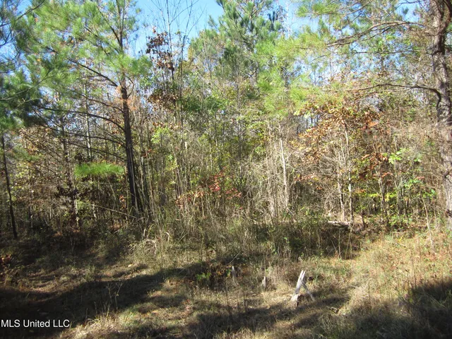 $212,000 | 312 Cr Walnut Ms 38683, Tiplersville, MS 38674