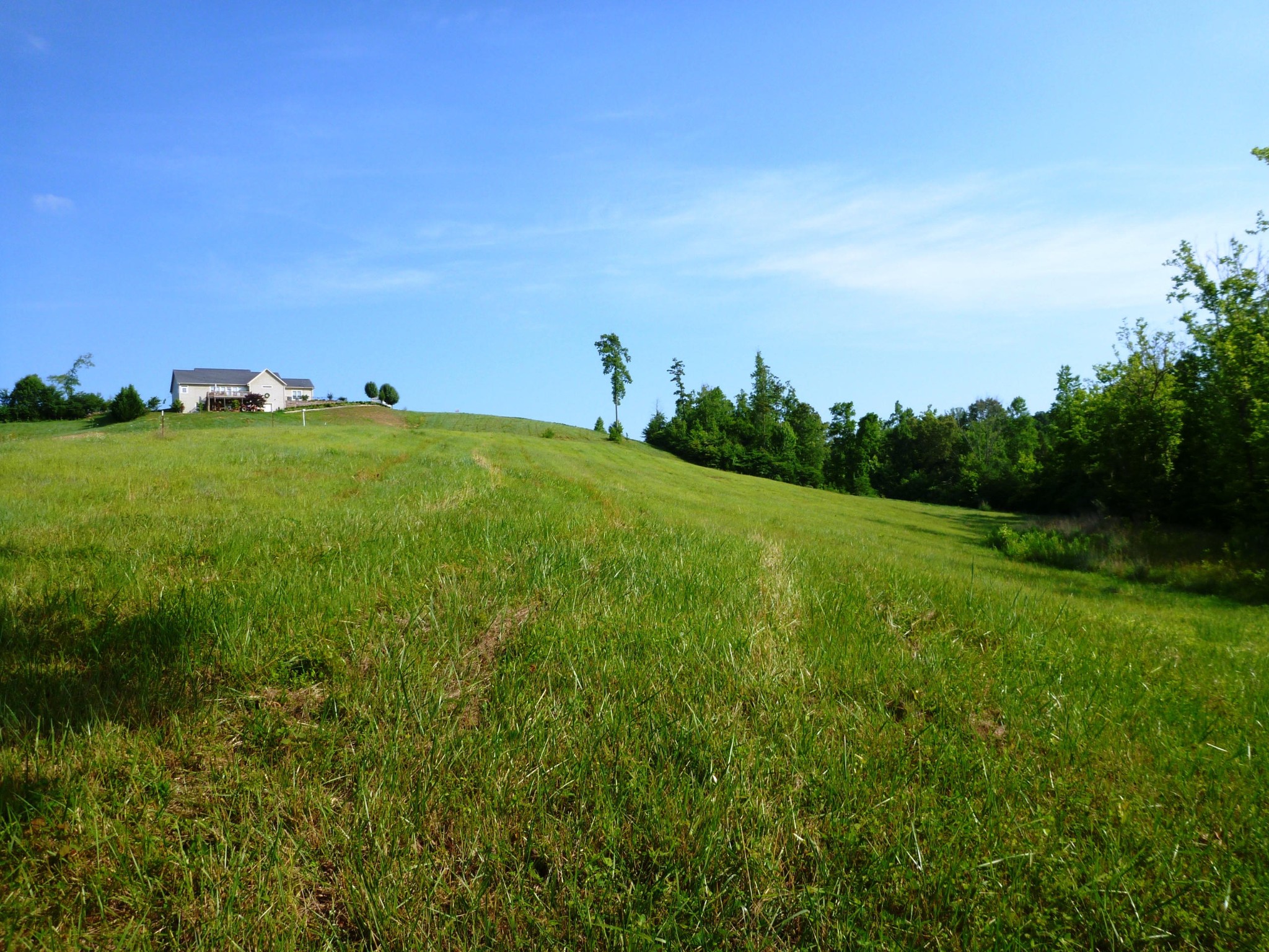 0 Big Gully Road Maryville, TN 37801 - Photo 8 of 8 Gallery Image 8
