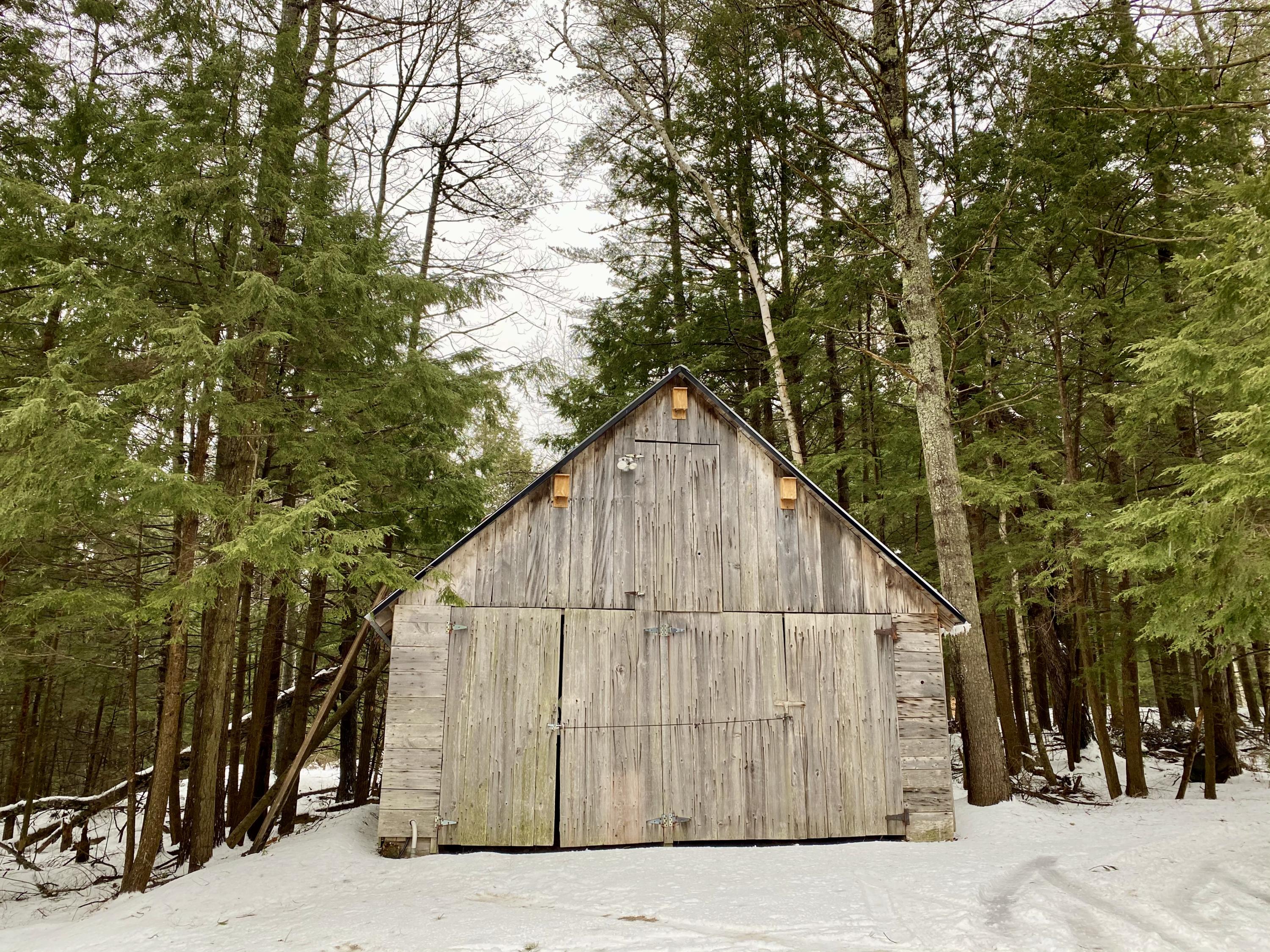 428 Main Road Milford, ME 04461 - Photo 65 of 70 Front of Barn