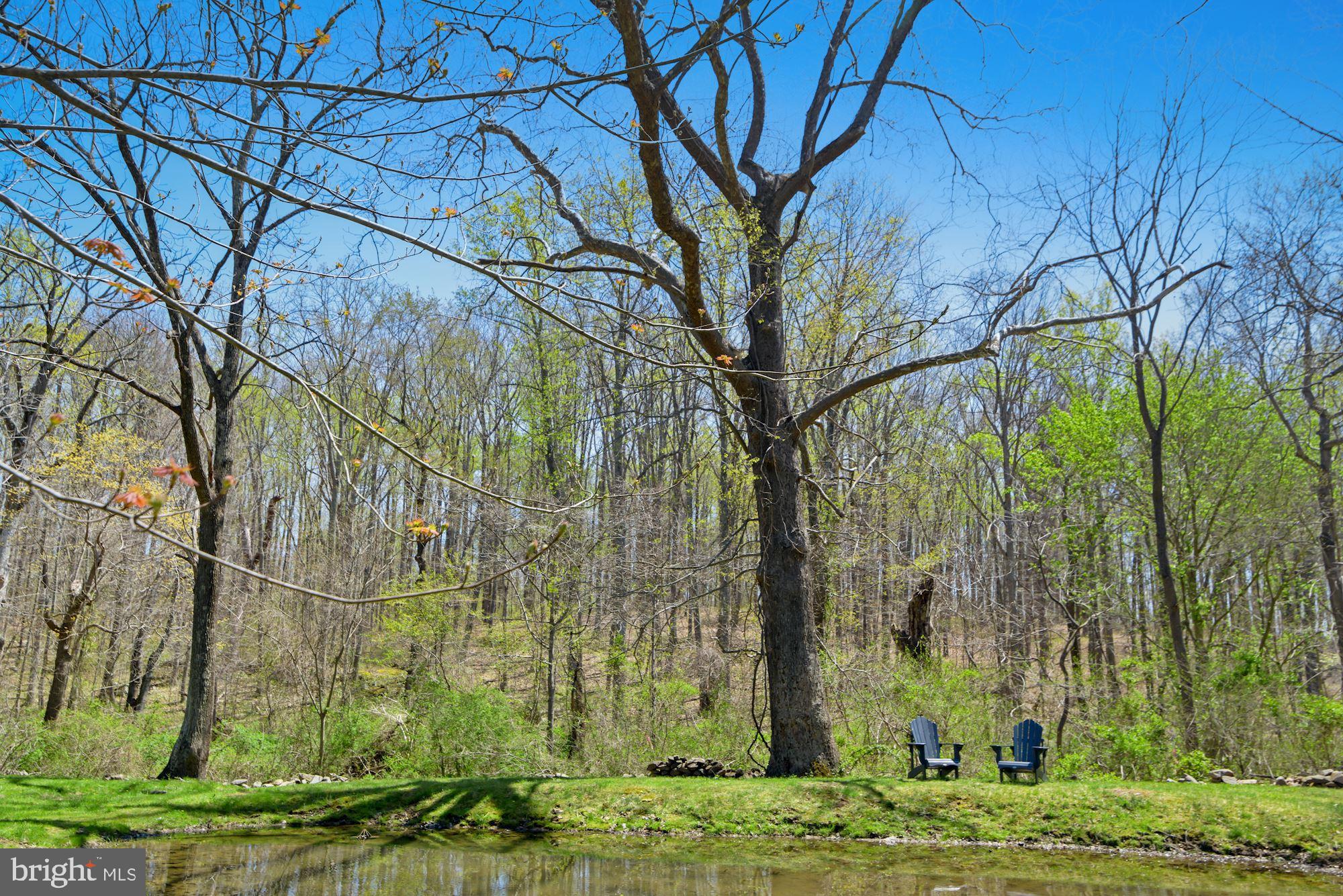 14091 Hume Road Hume, VA 22639 - Photo 39 of 41