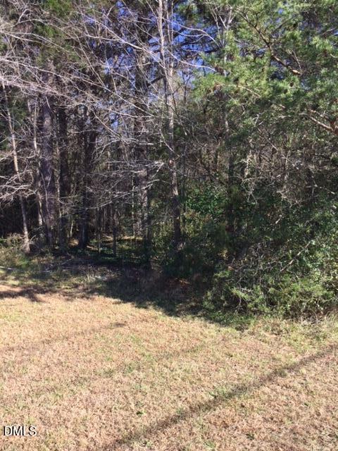 a view of yard covered with snow