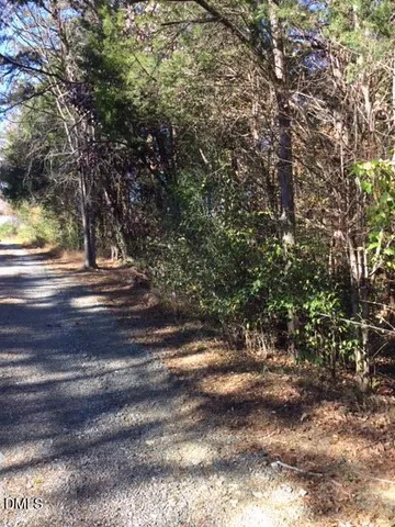 a view of road and trees