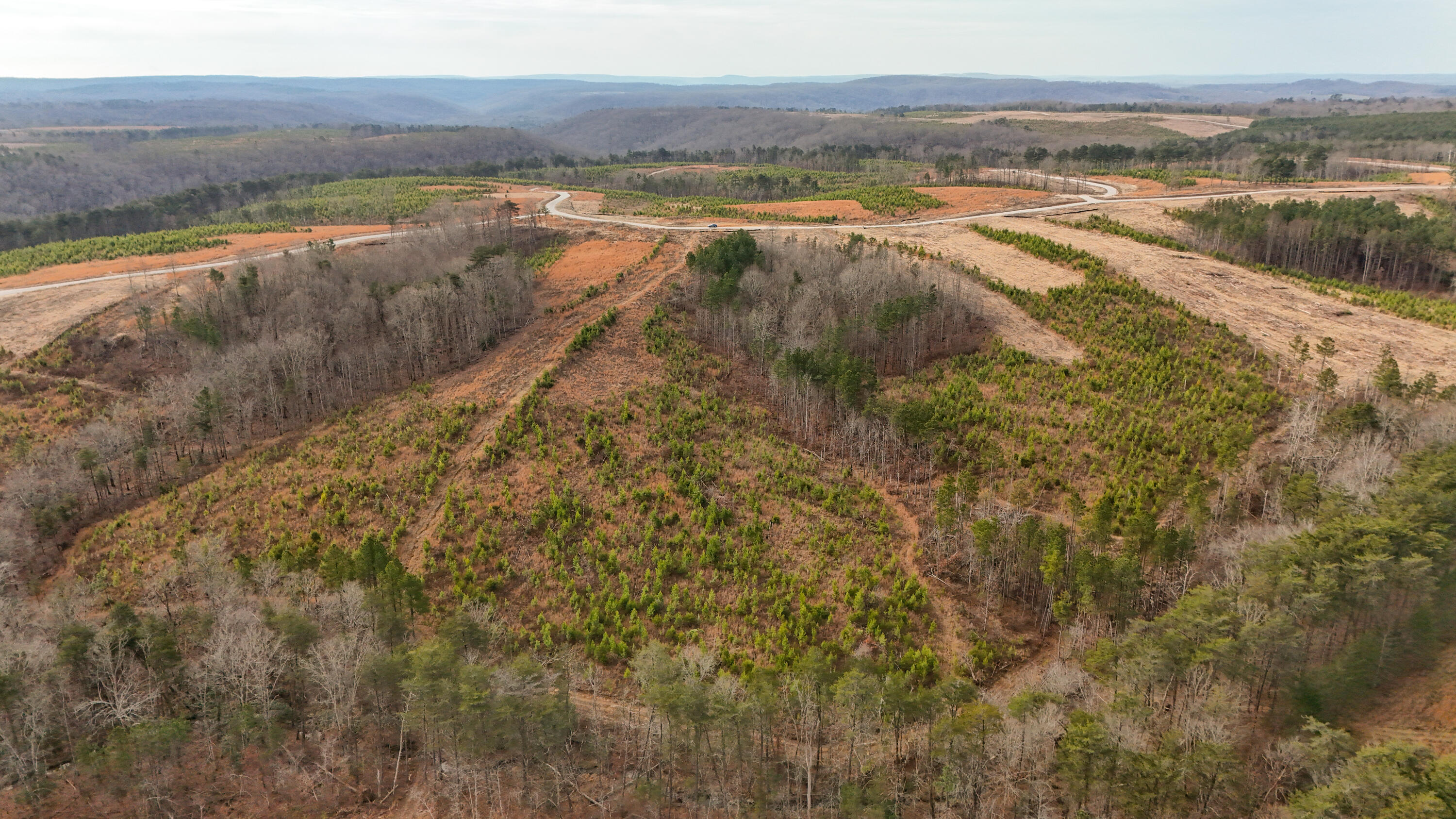 0 State Rt 399 Dunlap, TN 37327 - Photo 11 of 14 Longview-9