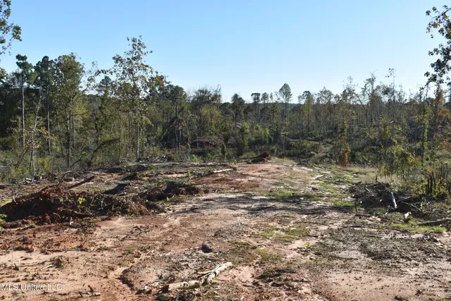 $60,000 | 7 Marianna Road, Holly Springs, MS 38635