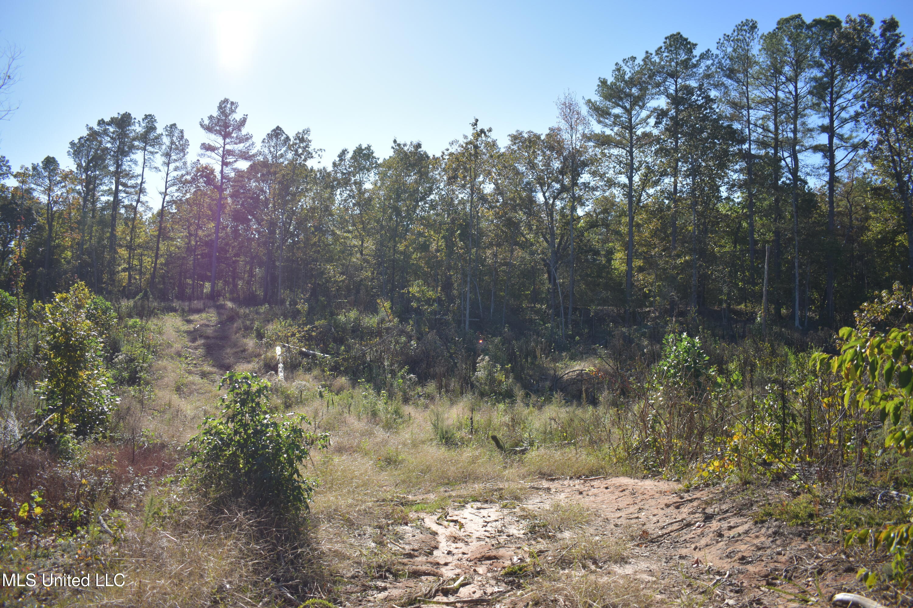 7 Marianna Road Holly Springs, MS 38635 - Photo 14 of 14 DSC_0624