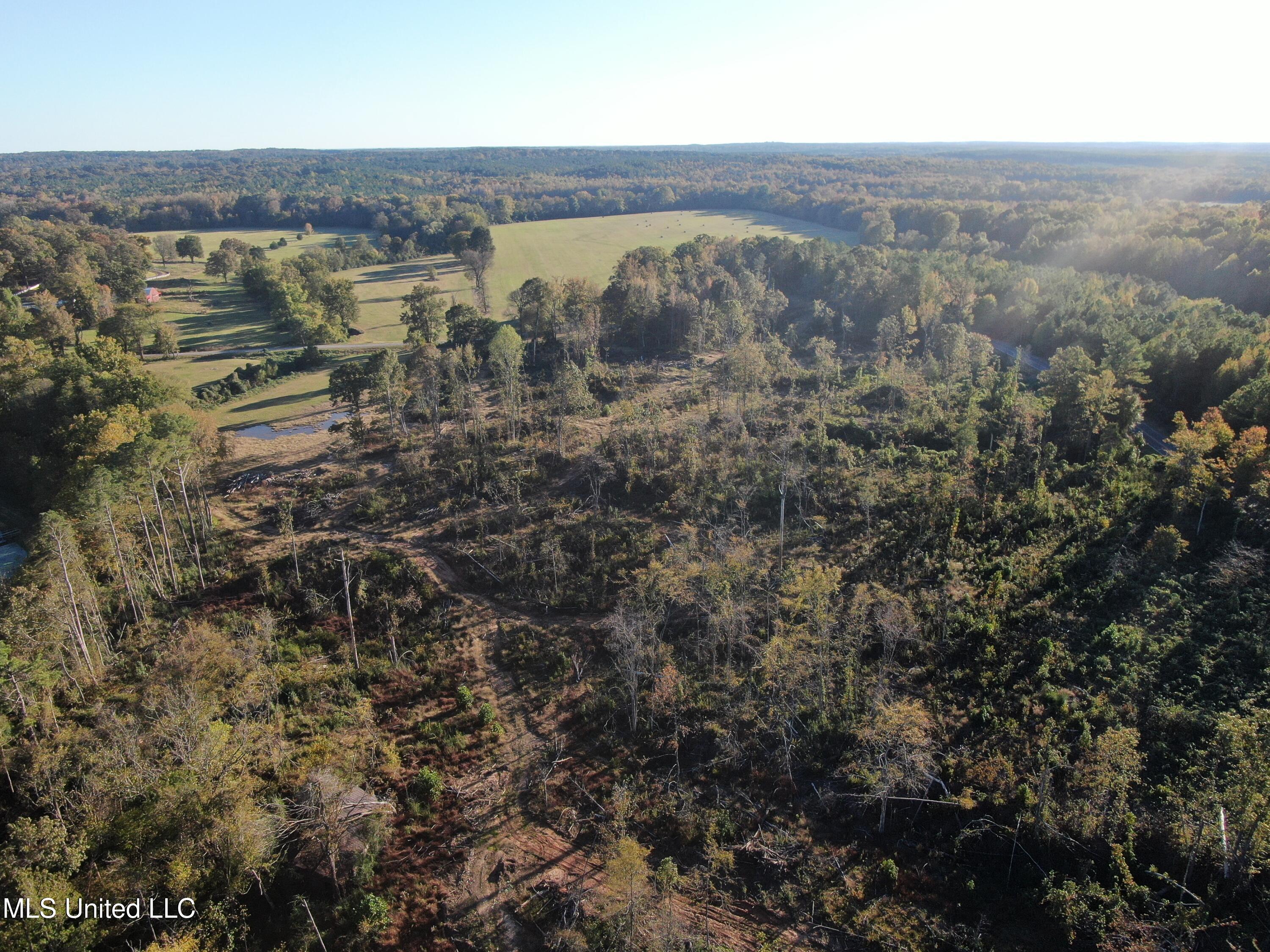 7 Marianna Road Holly Springs, MS 38635 - Photo 3 of 14 DJI_0764