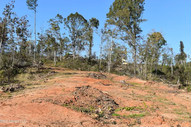 $60,000 | 7 Marianna Road, Holly Springs, MS 38635