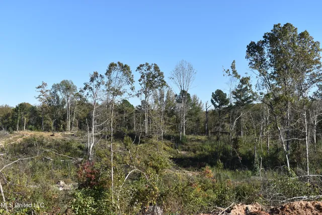 $60,000 | 7 Marianna Road, Holly Springs, MS 38635