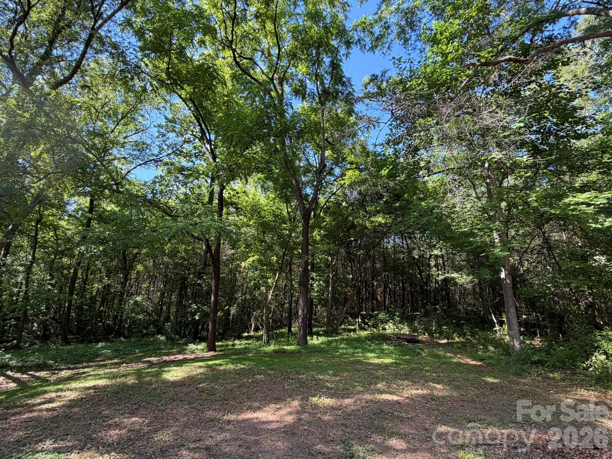 382 Alexis High Shoals Road Dallas, NC 28034 - Photo 10 of 43