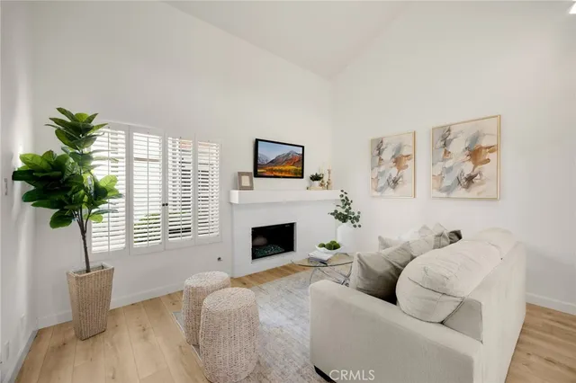 a living room with furniture and a potted plant