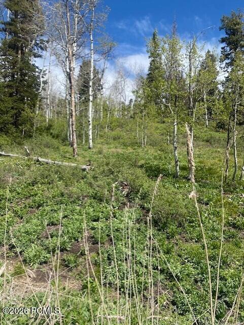 1798 West Alexander Canyon Road Coalville, UT 84017 - Photo 2 of 13