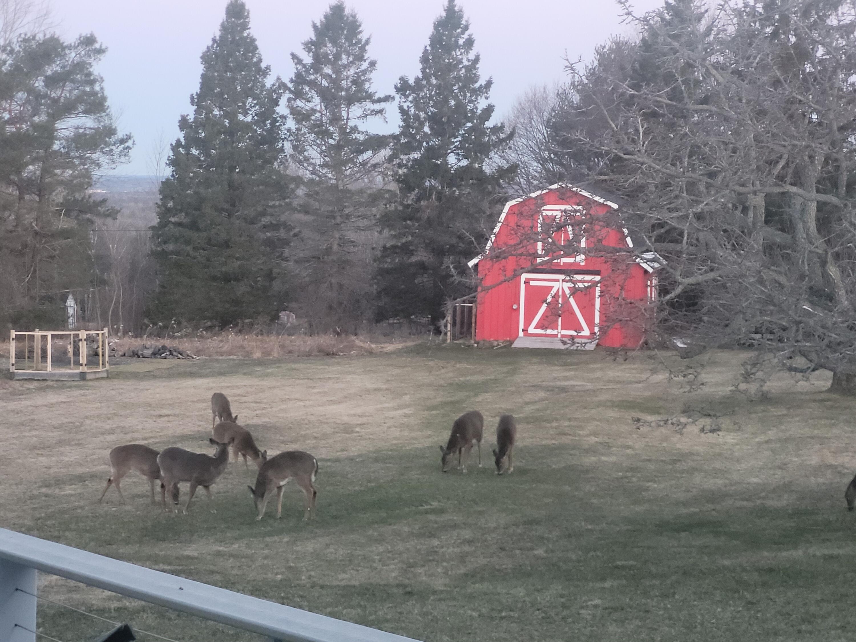28 Fisher Road Holden, ME 04429 - Photo 48 of 48 49