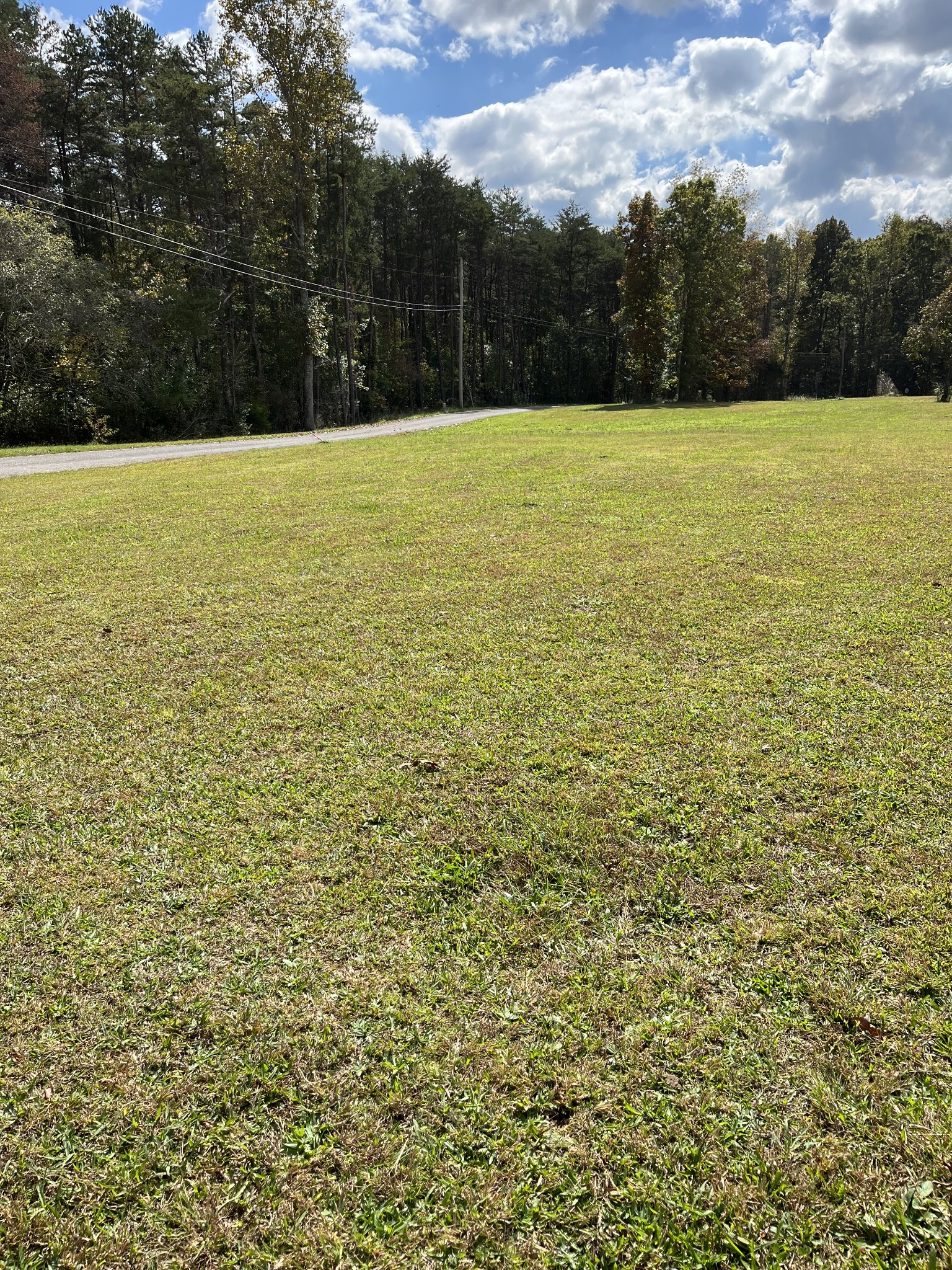 105 Taylor Road Gruetli Laager, TN 37339 - Photo 6 of 22