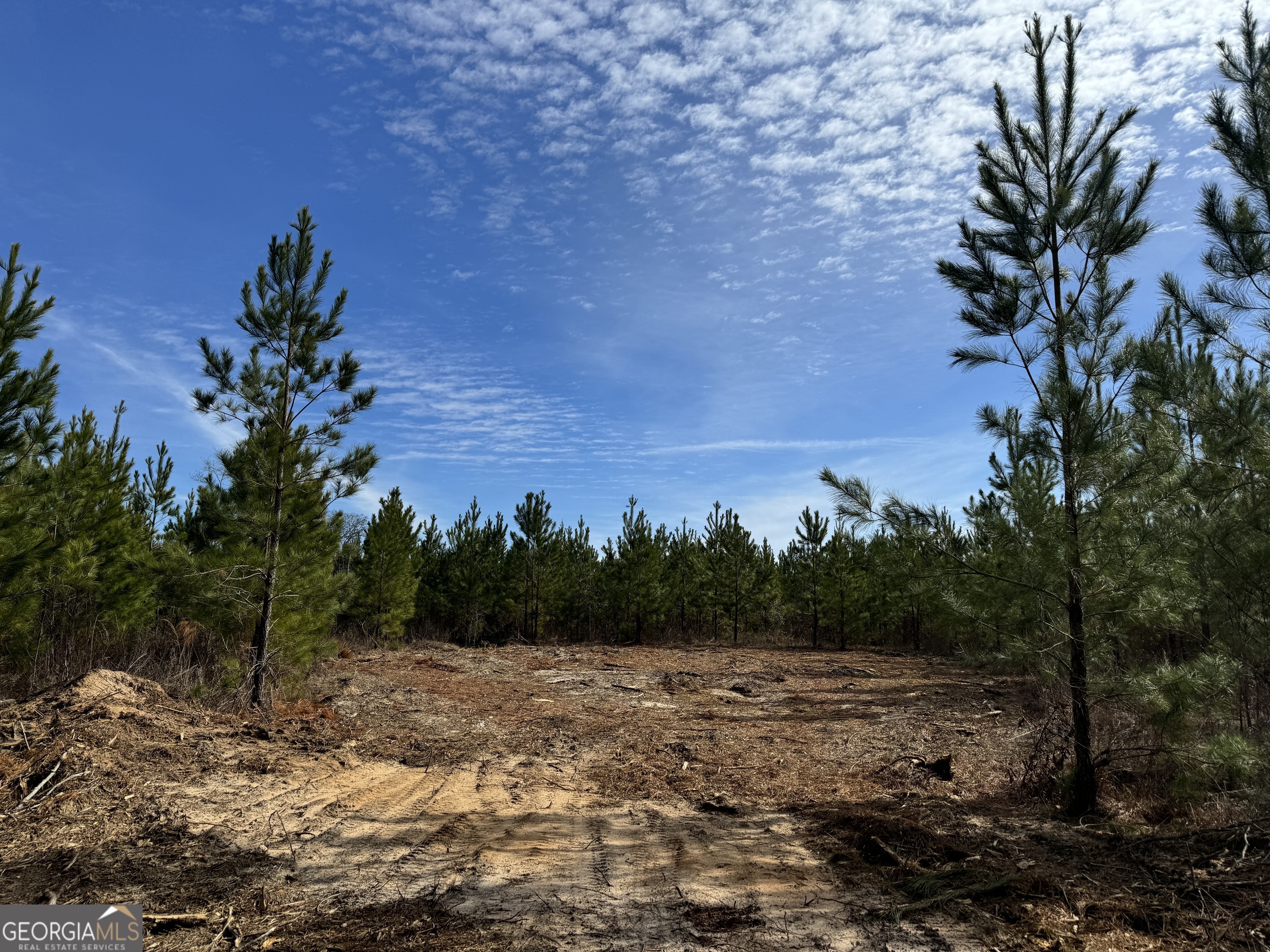 15 Dozier Road Ellaville, GA 31806 - Photo 3 of 4 a view of a yard