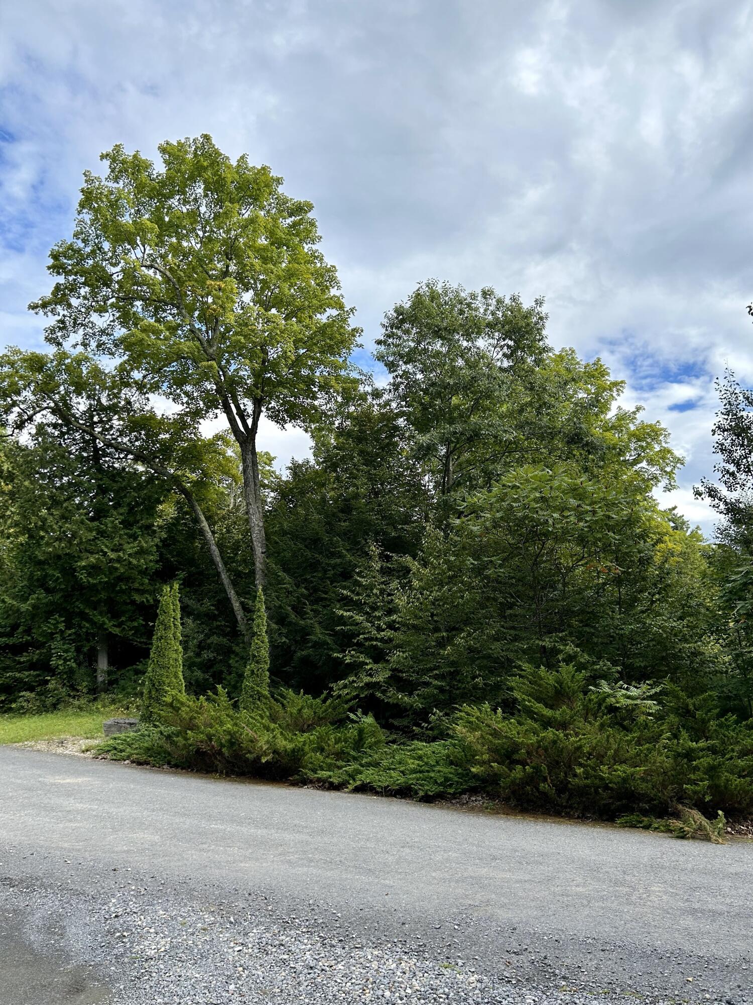 0 Bluff Point Drive Plattsburgh, NY 12901 - Photo 16 of 21 18