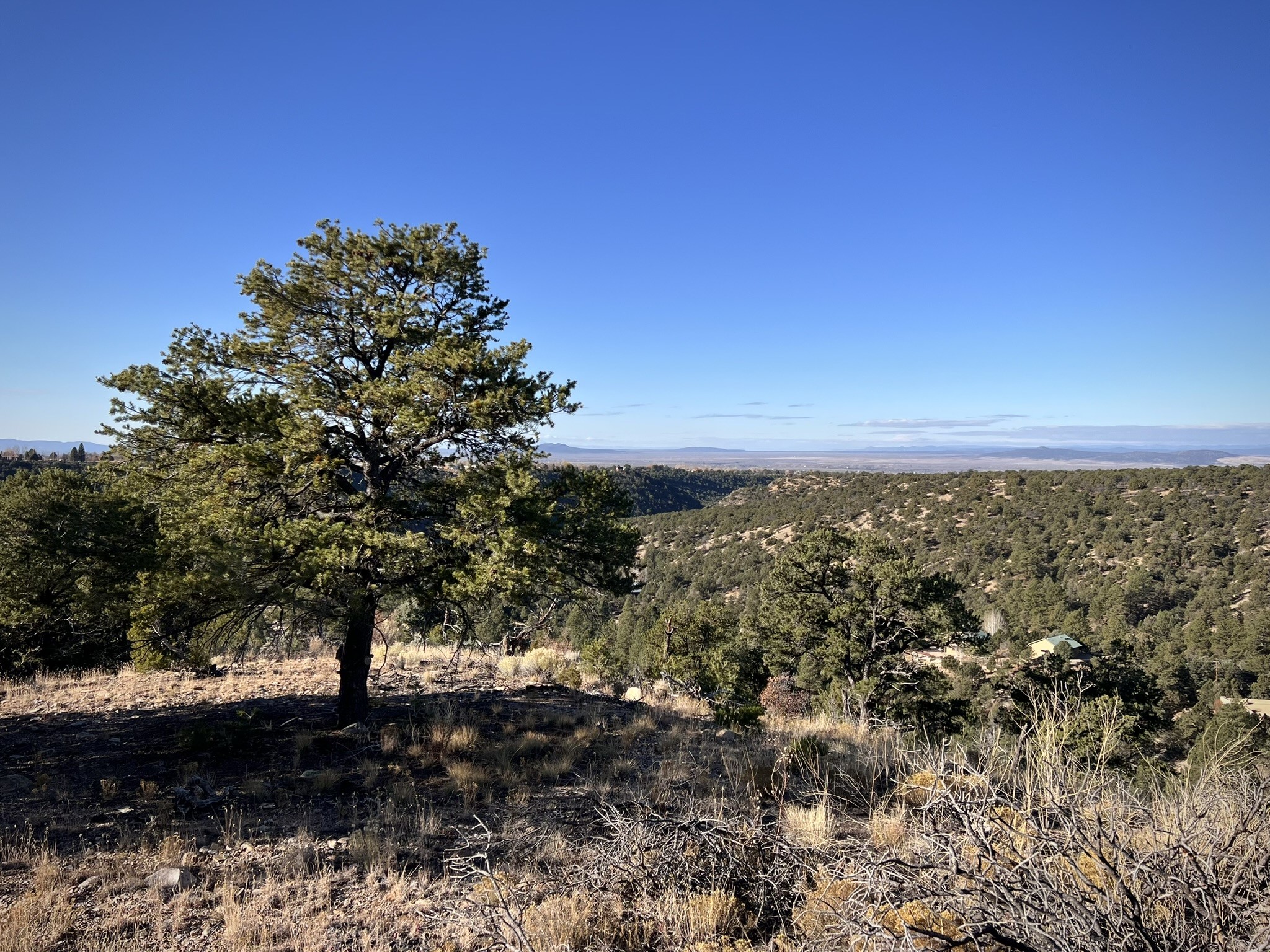 0 Gallina Canyon Road Valdez, NM 87580 - Photo 21 of 24