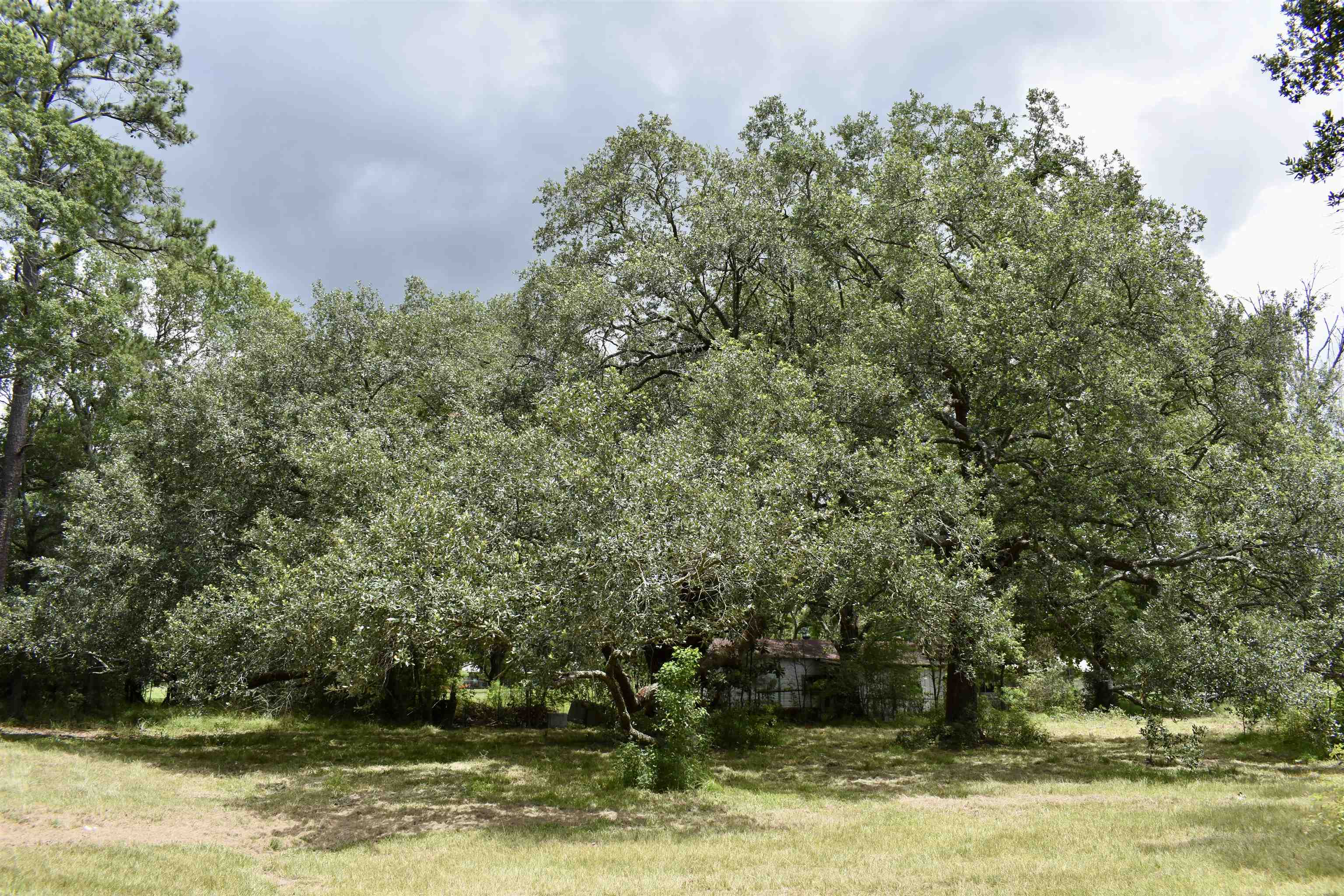 325 Goss Road Orange, TX 77632 - Photo 6 of 32