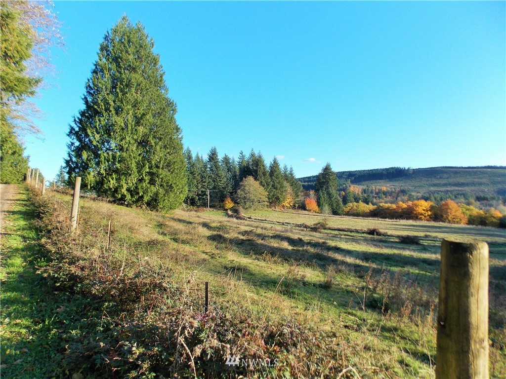 150-63 Boyd Road Mossyrock, WA 98564 - Photo 36 of 40 Gallery Image 36