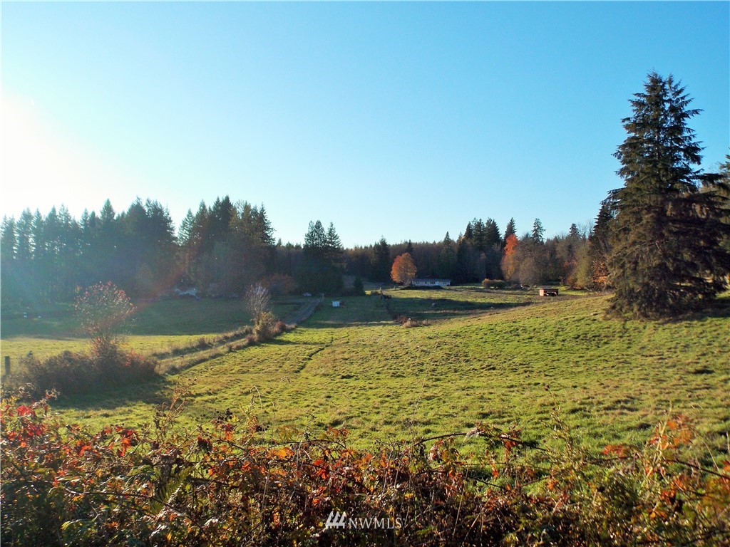 150-63 Boyd Road Mossyrock, WA 98564 - Photo 38 of 40 Gallery Image 38