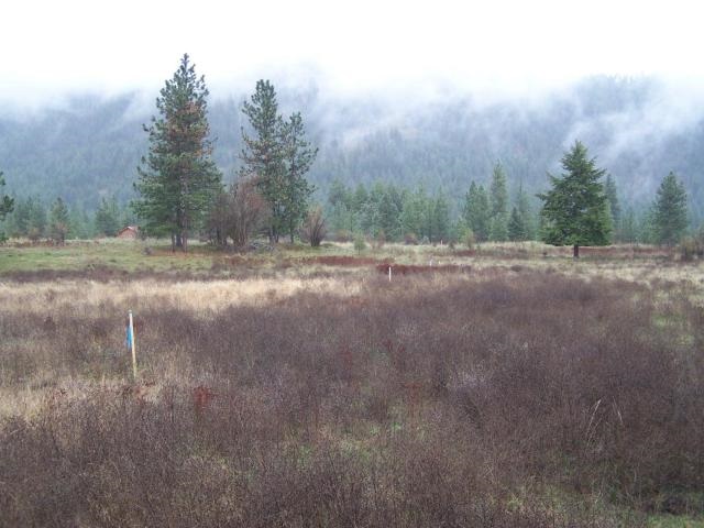 33-xx Bradeen Road Rice, WA 99167 - Photo 2 of 3