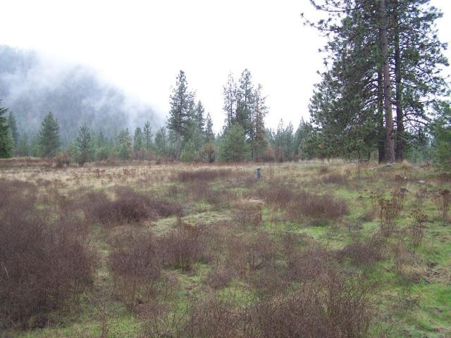 33-xx Bradeen Road Rice, WA 99167 - Photo 3 of 3