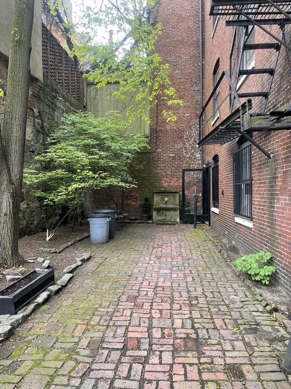 9 Primus Avenue, Unit 1 Boston, MA 02114 - Photo 17 of 19 a backyard of a house with potted plants and large tree