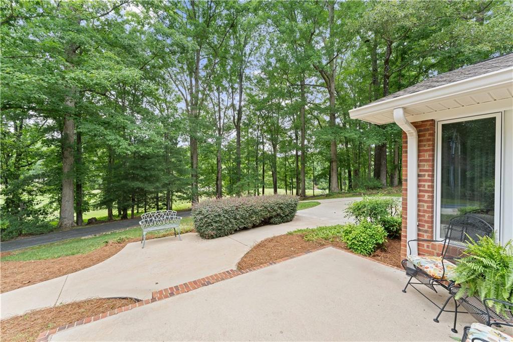 2290 Alec Mountain Road Clarkesville, GA 30523 - Photo 5 of 69