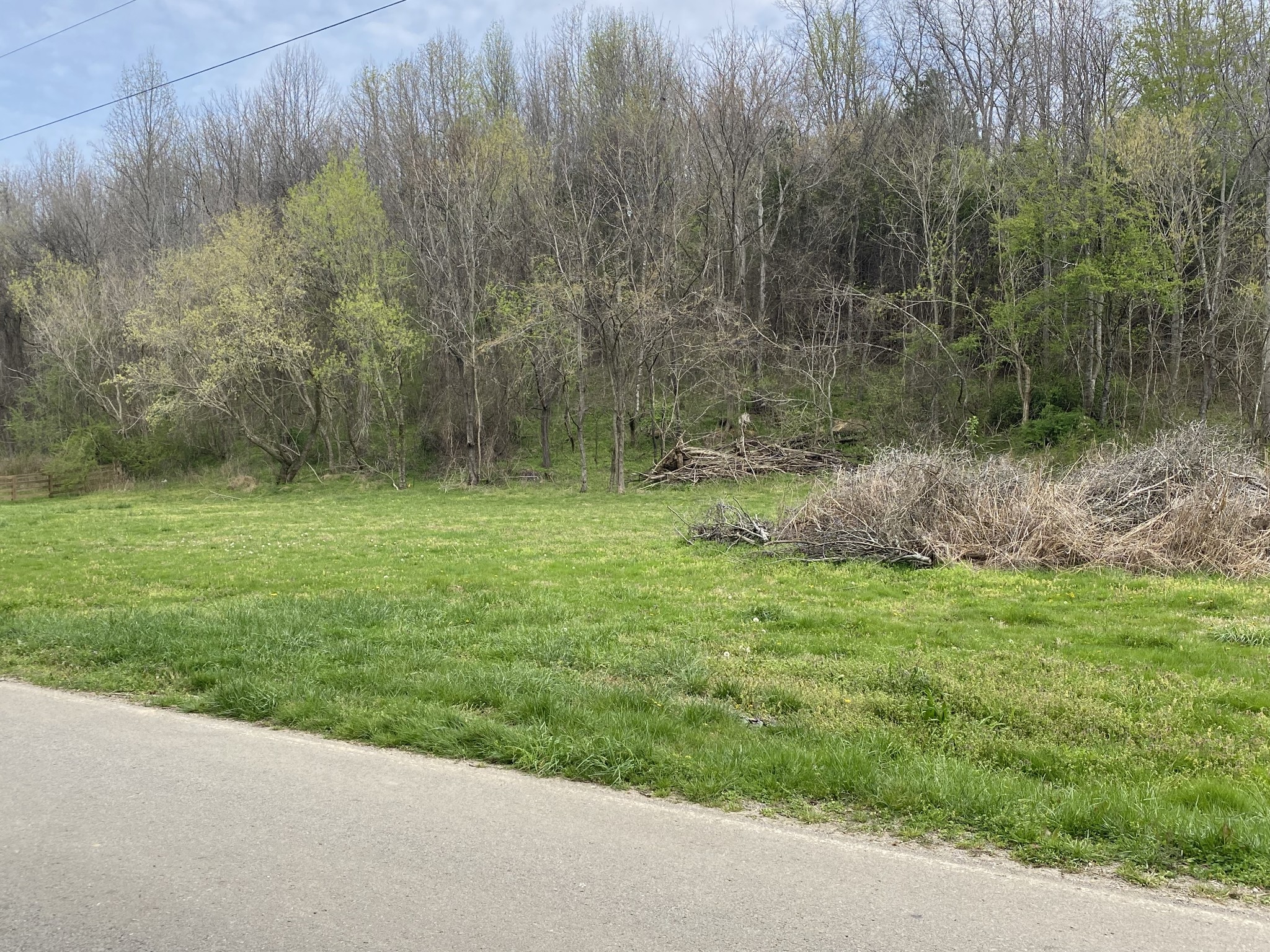 0 Globe Road Lewisburg, TN 37091 - Photo 11 of 12